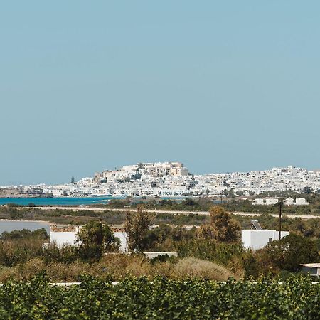 Sunday Luxury Suites Agia Anna  エクステリア 写真