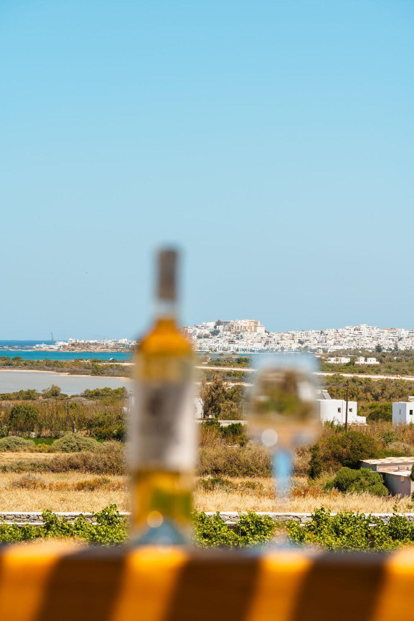 Sunday Luxury Suites Agia Anna  エクステリア 写真
