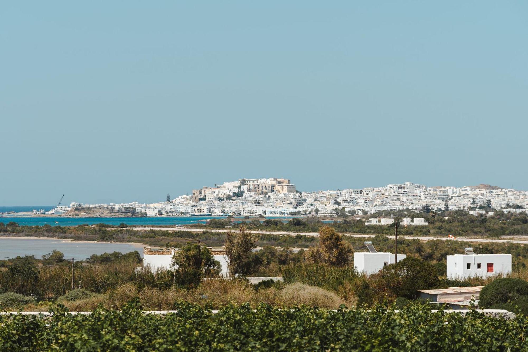 Sunday Luxury Suites Agia Anna  エクステリア 写真